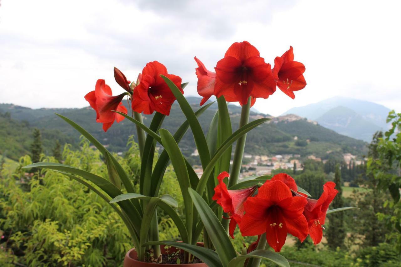 Il Castello Sul Lago Arrone エクステリア 写真