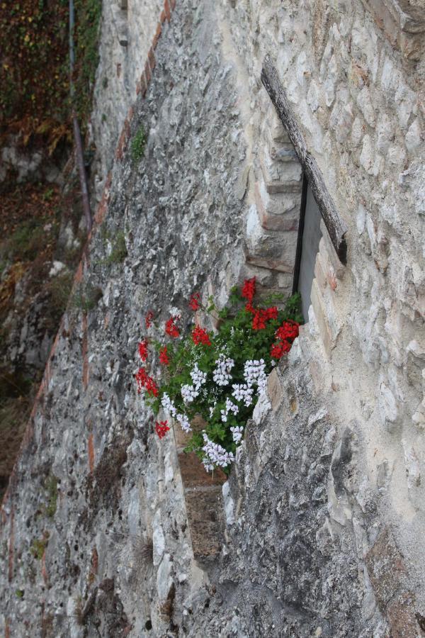 Il Castello Sul Lago Arrone エクステリア 写真