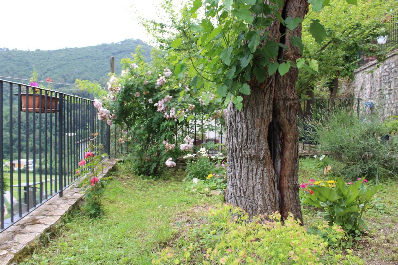 Il Castello Sul Lago Arrone エクステリア 写真